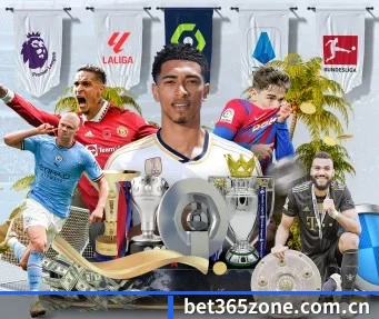 bet365体育 APP